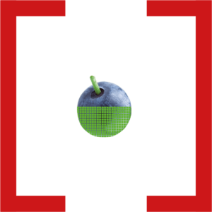 fremdkörper_Klammer_heidelbeere