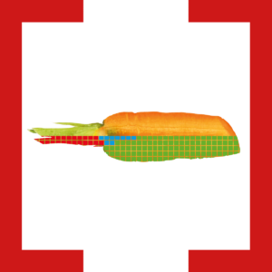 fremdkörper_Klammer_karotte