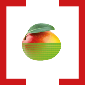 fremdkörper_Klammer_mango