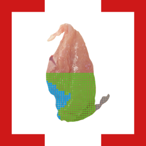 fremdkörper_Klammer_poultry