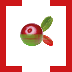 fremdkörper_Klammer_ribisel